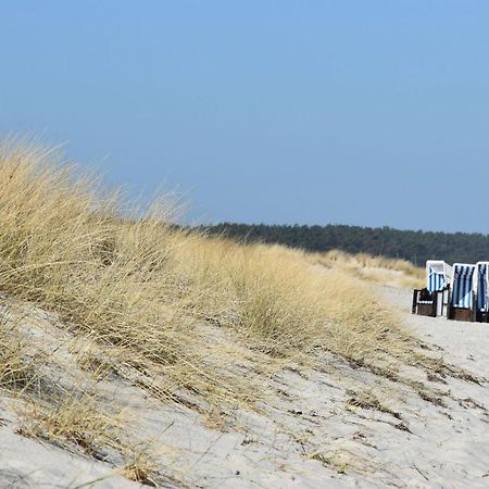 Ferienwohnungen Am Bernsteinweg Prerow Εξωτερικό φωτογραφία
